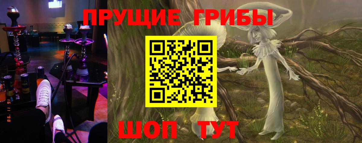 Псилоцибиновые грибы GOLDEN TEACHER Щёкино