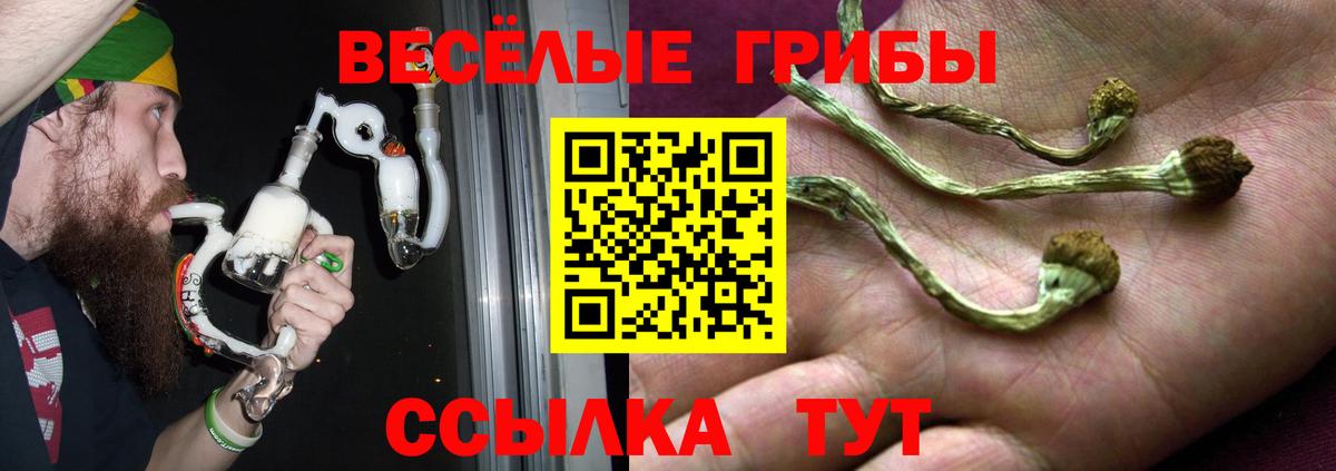 Галлюциногенные грибы мицелий  Вход с VPN  Щёкино  Псилоцибиновые грибы Cubensis 